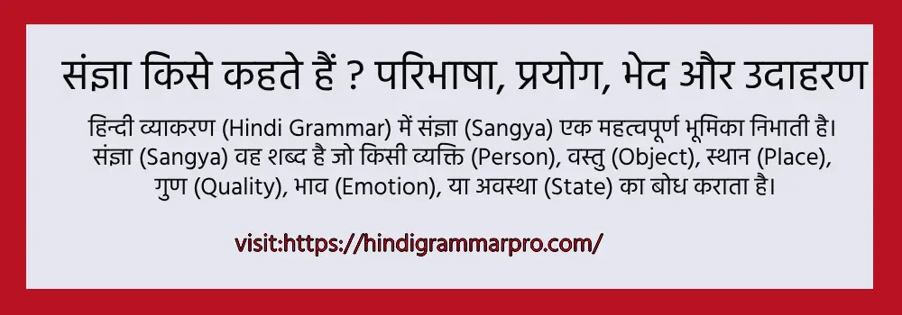 sangya kise kehte hain